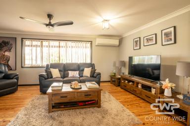 House For Sale - NSW - Ashford - 2361 - Family Home with Modern Amenities and Rural Charm  (Image 2)