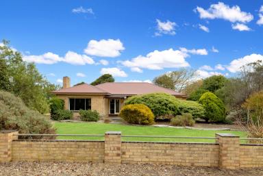 Mixed Farming For Sale - VIC - Homerton - 3304 - A Wealth Of Opportunity!  (Image 2)