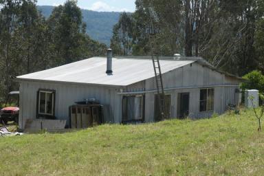 Lifestyle For Sale - NSW - Bonalbo - 2469 - GOOD TO GROW  (Image 2)