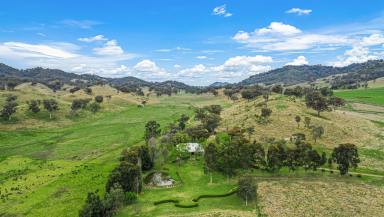 Livestock For Sale - NSW - Loomberah - 2340 - Lifestyle & Acres close to Tamworth  (Image 2)
