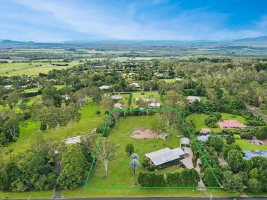 Acreage/Semi-rural Sold - QLD - Tolga - 4882 - Character, Space and Timeless Elegance  (Image 2)