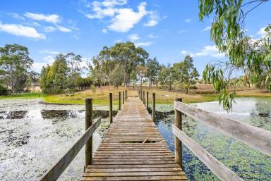 Lifestyle For Sale - VIC - Heyfield - 3858 - Amazing Lifestyle Property Close To Town  (Image 2)