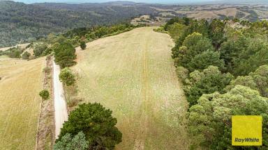 Lifestyle For Sale - VIC - Toora North - 3962 - "The Runway"  (Image 2)