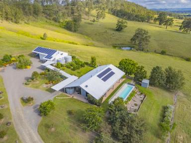 Acreage/Semi-rural Sold - NSW - Dungog - 2420 - Blackwattle Ridge Rural Lifestyle Dream  (Image 2)