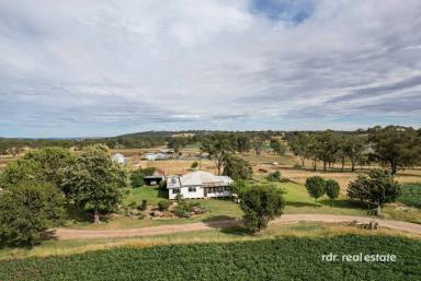 Mixed Farming For Sale - NSW - Delungra - 2403 - TORRAKINA  (Image 2)