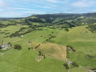 Lifestyle For Sale - NSW - Rose Valley - 2534 - 'The Hill Block' - Escape to the Country  (Image 2)
