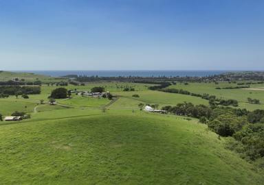 Lifestyle For Sale - NSW - Rose Valley - 2534 - 'The Hill Block' - Escape to the Country (Image 2)