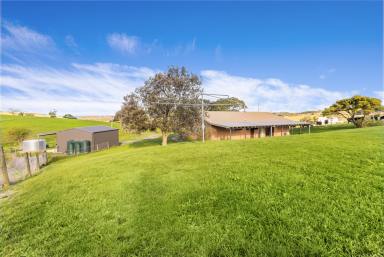 Lifestyle For Sale - NSW - Rose Valley - 2534 - 'The Hill Block' - Escape to the Country  (Image 2)