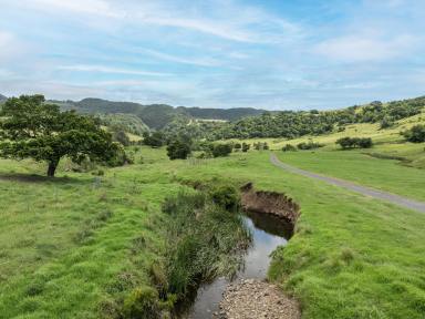 Lifestyle For Sale - NSW - Rose Valley - 2534 - 'The Hill Block' - Escape to the Country  (Image 2)