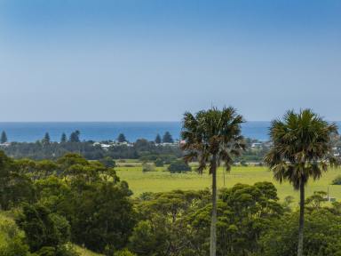 Lifestyle For Sale - NSW - Rose Valley - 2534 - 'The Hill Block' - Escape to the Country  (Image 2)