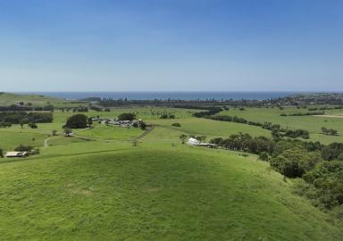 Lifestyle For Sale - NSW - Rose Valley - 2534 - 'The Hill Block' - Escape to the Country  (Image 2)