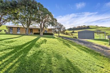 Lifestyle For Sale - NSW - Rose Valley - 2534 - 'The Hill Block' - Escape to the Country  (Image 2)