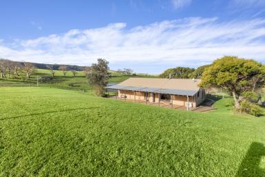 Lifestyle For Sale - NSW - Rose Valley - 2534 - 'The Hill Block' - Escape to the Country  (Image 2)
