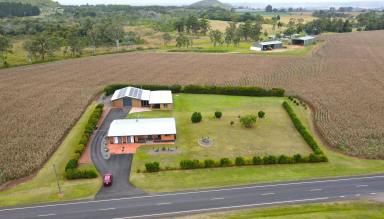 Lifestyle For Sale - QLD - East Barron - 4883 - 4 BEDROOM HOME + GRANNY FLAT ON 10.34 ACRES  (Image 2)