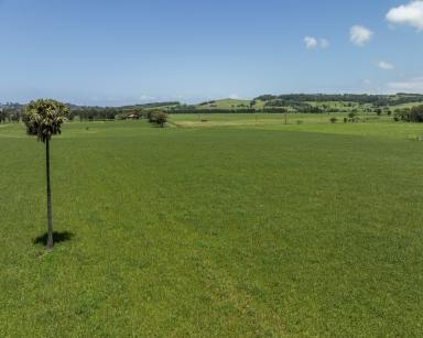 Lifestyle Sold - NSW - Rose Valley - 2534 - 'Grasmere' - 40.07 ha of Prime Farming Land  (Image 2)