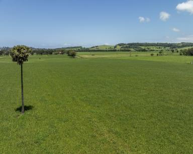 Lifestyle For Sale - NSW - Rose Valley - 2534 - 'Grasmere' - 40.07 ha of Prime Farming Land  (Image 2)