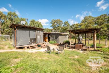 Lifestyle For Sale - NSW - Deepwater - 2371 - OFF-GRID WEEKENDER ON 116 ACRES  (Image 2)