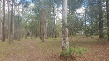 Lifestyle Sold - QLD - Blackbutt - 4314 - Build Your Dream on 4.74 Acres of Rural Bliss  (Image 2)