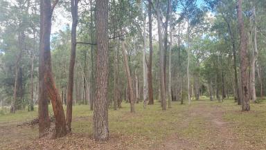 Lifestyle Sold - QLD - Blackbutt - 4314 - Build Your Dream on 4.74 Acres of Rural Bliss  (Image 2)