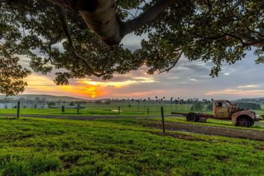 Lifestyle For Sale - NSW - Rose Valley - 2534 - 'Alne Bank' Rose Valley  (Image 2)