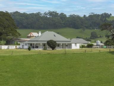 Lifestyle For Sale - NSW - Rose Valley - 2534 - 'Alne Bank' Rose Valley  (Image 2)