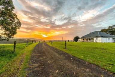 Lifestyle For Sale - NSW - Rose Valley - 2534 - 'Alne Bank' Rose Valley  (Image 2)