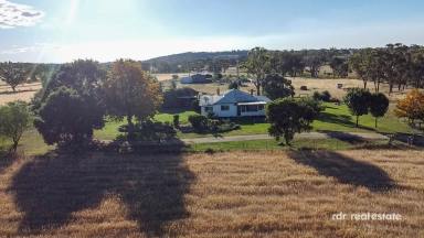 Mixed Farming For Sale - NSW - Inverell - 2360 - TORRAKINA  (Image 2)