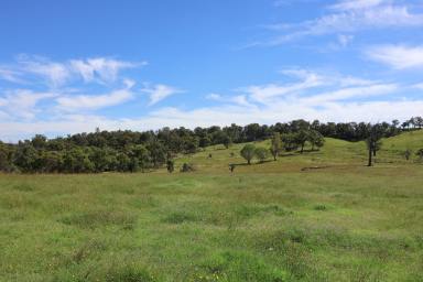 Livestock For Sale - NSW - Canyonleigh - 2577 - 300 Acre Grazing Property  (Image 2)