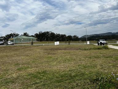 Residential Block For Sale - NSW - Coffs Harbour - 2450 - level and registered land with great views.  (Image 2)