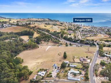 Residential Block For Sale - TAS - Penguin - 7316 - Only One Left - Penguin Heights  (Image 2)