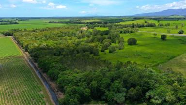 Residential Block For Sale - QLD - Munro Plains - 4854 - Large Rural Block $350K  (Image 2)