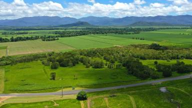 Residential Block For Sale - QLD - Munro Plains - 4854 - Large Rural Block $350K  (Image 2)