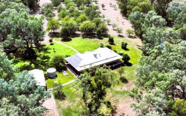 House For Sale - NSW - Moree - 2400 - Mehi River Oasis!  (Image 2)