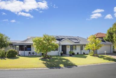 House For Sale - WA - Geographe - 6280 - A Home You Won't Want to Share  (Image 2)