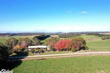 Lifestyle For Sale - VIC - Woorarra East - 3962 - "PEACEFIELD" IN THE ROLLING HILLS  (Image 2)