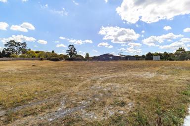 Residential Block For Sale - VIC - Ballarat East - 3350 - A largely proportioned block-just a brief drive to the CBD.  (Image 2)
