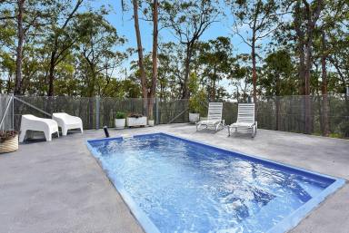 Lifestyle For Sale - NSW - Bucketty - 2250 - Brilliant Bush Weekender, or Build your Dream Home  (Image 2)