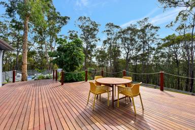 Lifestyle For Sale - NSW - Bucketty - 2250 - Brilliant Bush Weekender, or Build your Dream Home  (Image 2)