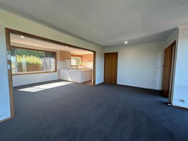 House Leased - TAS - Deloraine - 7304 - Stunning views of Quamby Bluff  (Image 2)