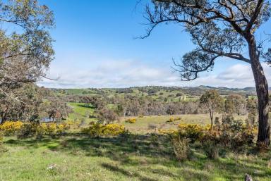 Residential Block For Sale - VIC - Sedgwick - 3551 - Stunning Views and that Country Dream  (Image 2)
