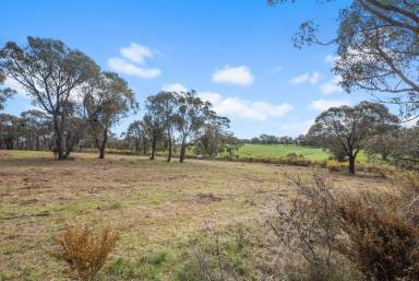 Residential Block For Sale - VIC - Sedgwick - 3551 - Stunning Views and that Country Dream  (Image 2)