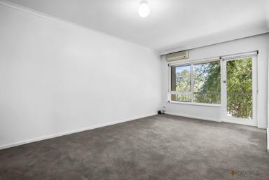 Unit Leased - VIC - Cheltenham - 3192 - SPACIOUS APARTMENT | MODERN FIXTURES | BRIGHT AND SUNNY  (Image 2)