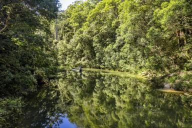 Acreage/Semi-rural Sold - NSW - Bellingen - 2454 - Hidden Gem with Tranquil Surroundings and Kalang River Frontage  (Image 2)