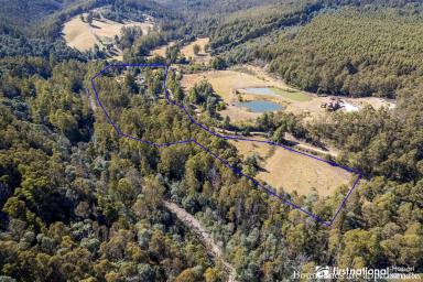 House Sold - TAS - Mountain River - 7109 - A Picture Perfect Mountain River Lifestyle Property  (Image 2)