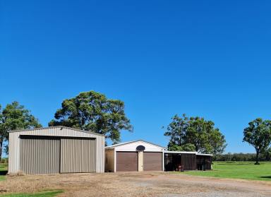 House For Sale - QLD - Granville - 4650 - A Place To Call Home  (Image 2)