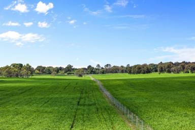 Farmlet Sold - NSW - Taralga - 2580 - Cloverdale Valley  (Image 2)