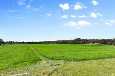 Farmlet For Sale - NSW - Taralga - 2580 - Productivity package without the huge price tag!  (Image 2)