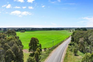 Farmlet Sold - NSW - Taralga - 2580 - Cloverdale Valley  (Image 2)