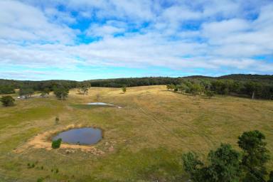 Mixed Farming For Sale - NSW - Goulburn - 2580 - Greener Pastures  (Image 2)