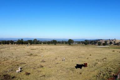 Lifestyle For Sale - NSW - Canowindra - 2804 - 7 ACRES* TO BUILD YOUR DREAM HOME  (Image 2)